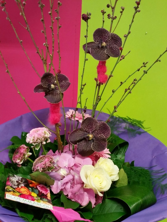 Purple orchid - €28,50